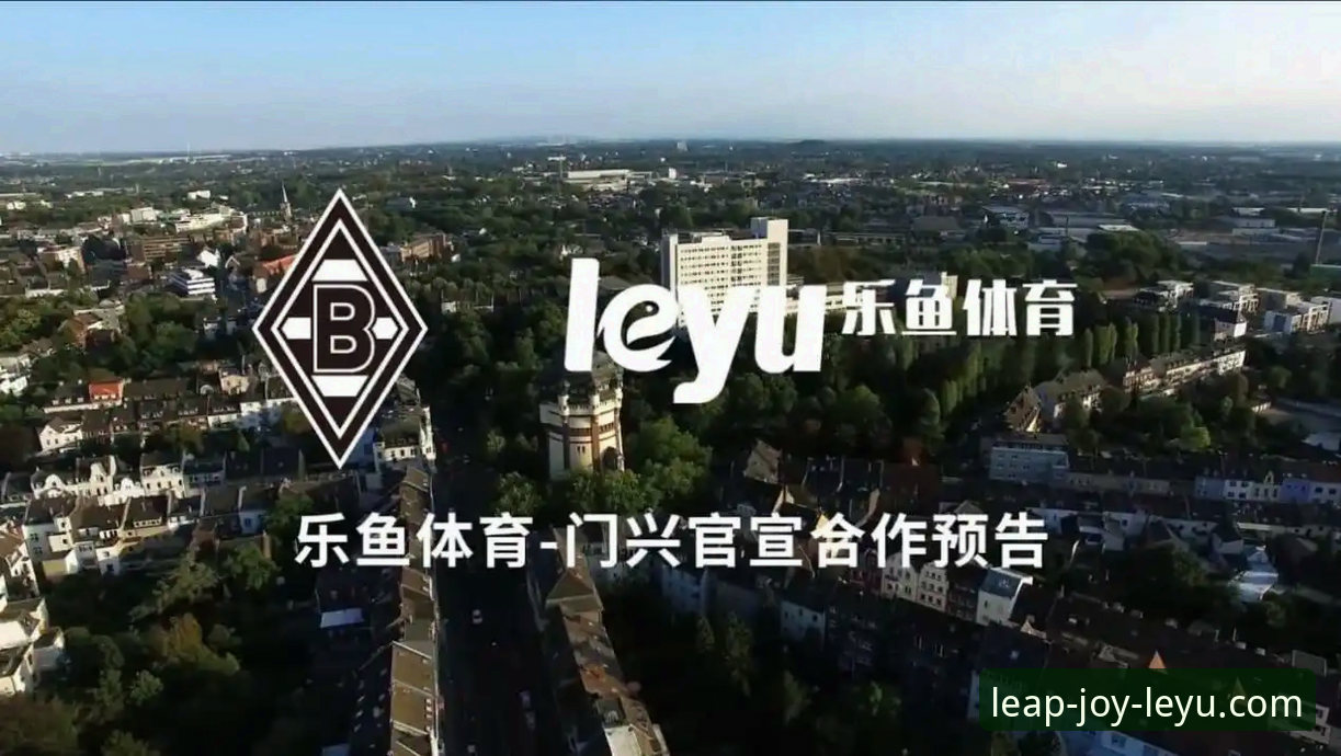 乐鱼体育平台深度评测：从一场令人心碎的附加赛，看如何获取最全面的足球资讯